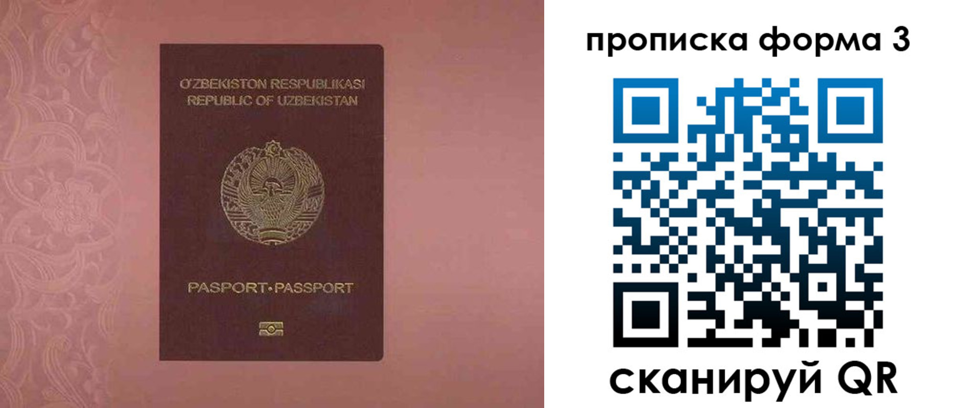 регистрация в Архангельской области